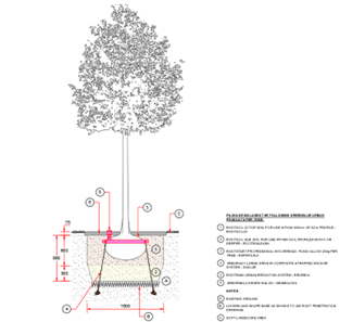 2D linework for tree pit